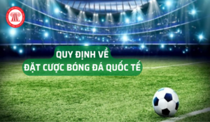 dat cuoc bong da Không nên đi theo xu hướng tâm lý từ đám đông